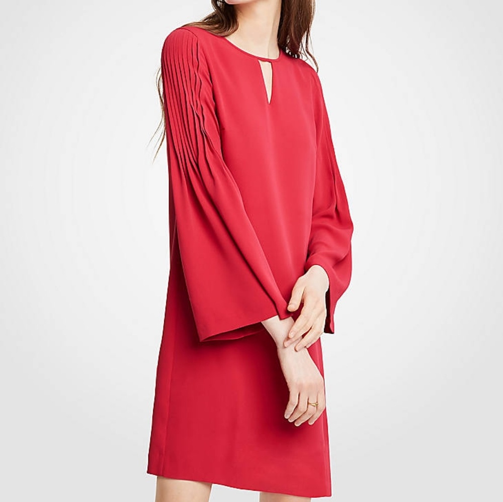 Dress - Picture 5 of 6
